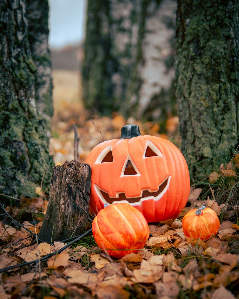 Photograph by Ярослав Изотов