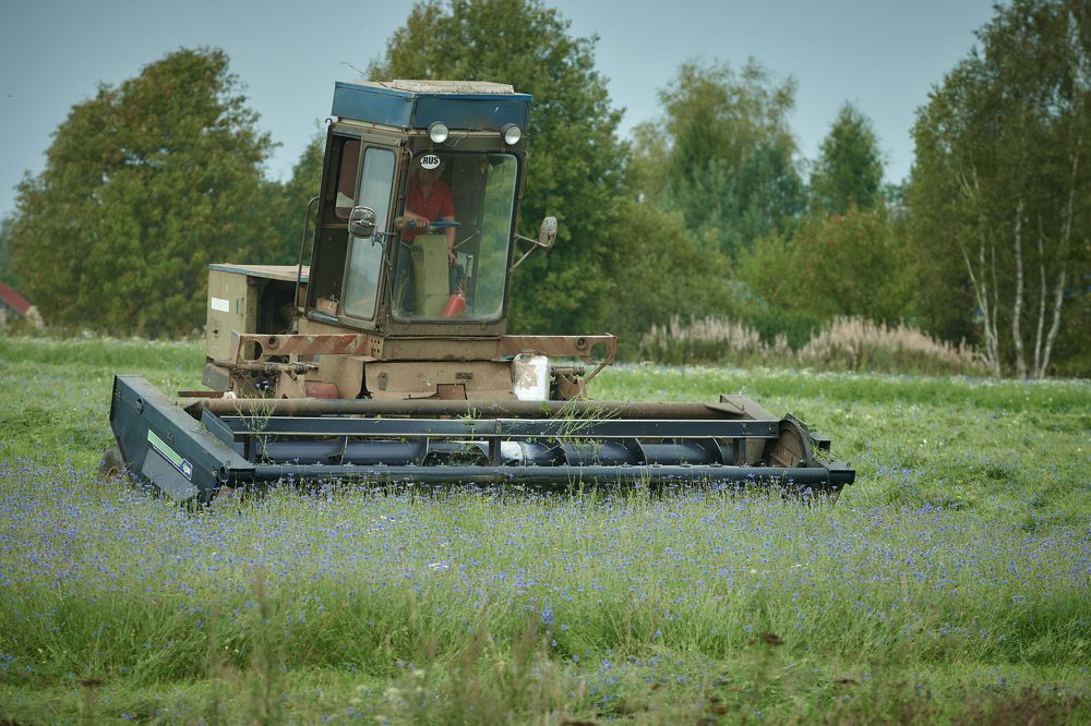 Фотография автора Александр Жданов