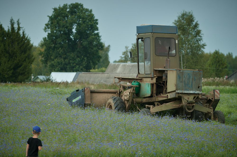 Фотография автора Александр Жданов