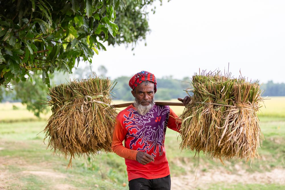 Photograph by Md Matiur Rahman