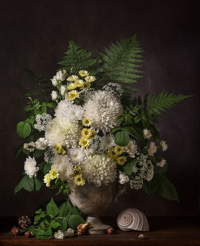 Фотография автора Алина Ланкина