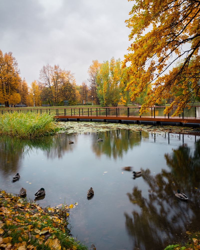 Photograph by Ярослав Изотов