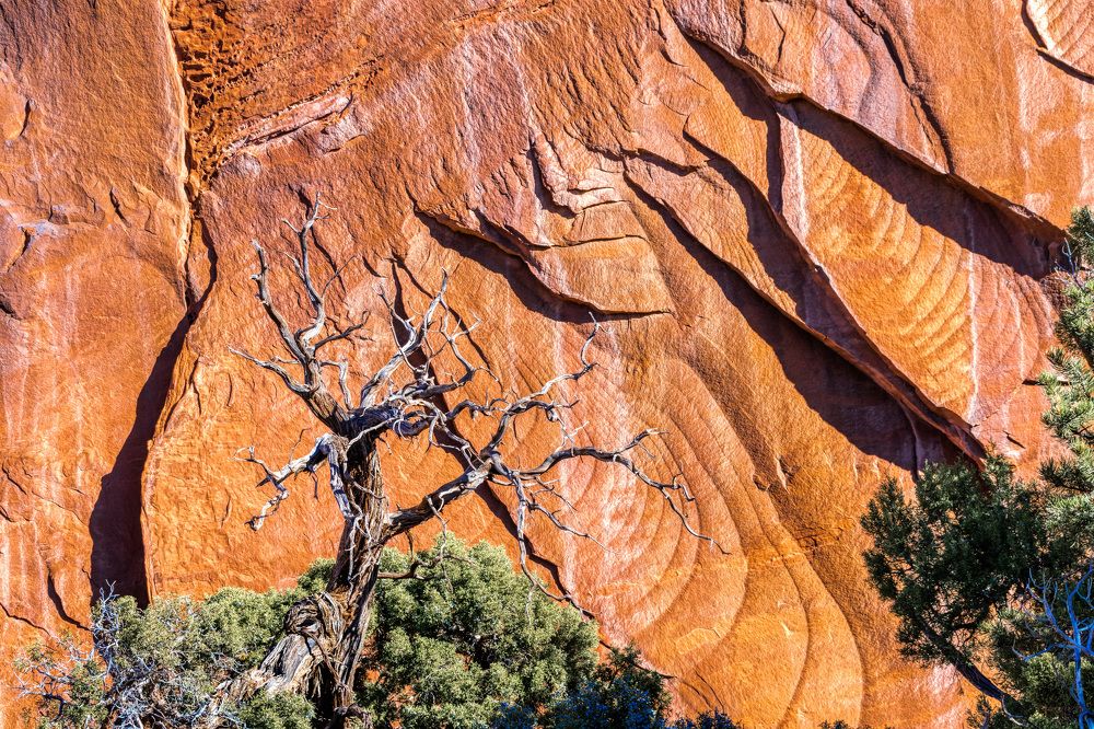 Photograph by Анатолий Костерев