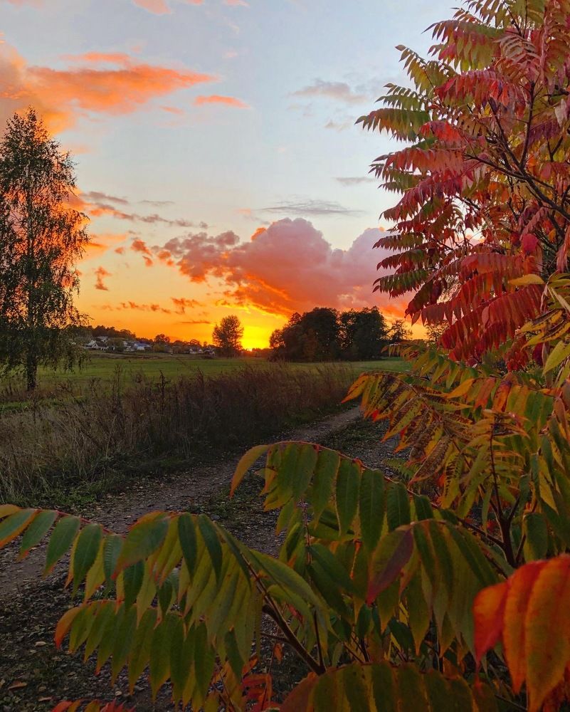 Photograph by Лариса Акинчиц