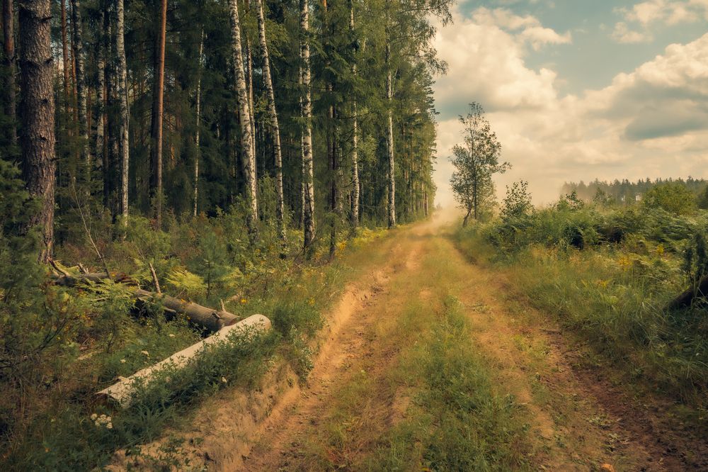 Photograph by Sergey Korshunov