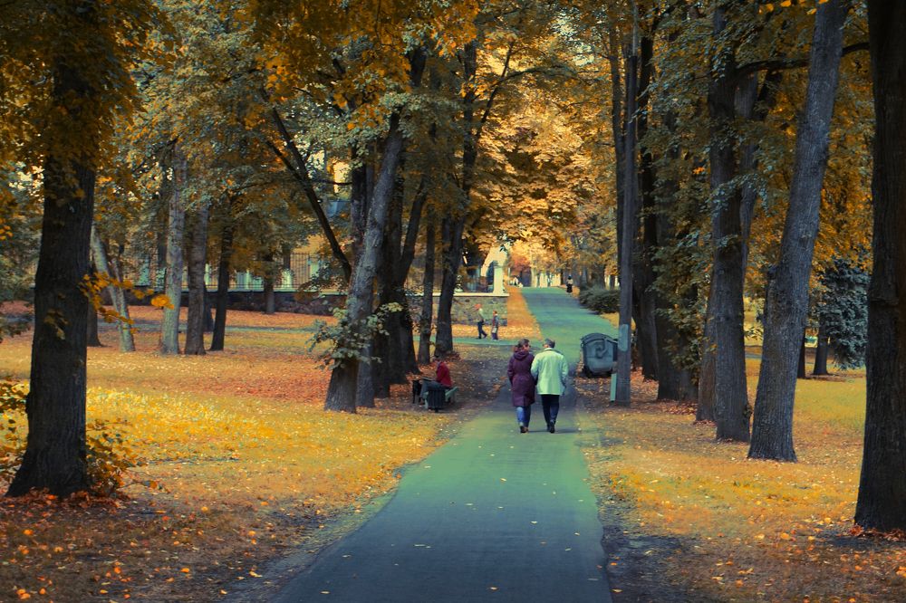 Photograph by Александра Пецевич