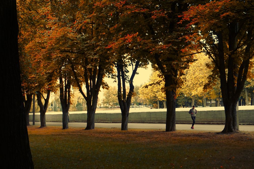 Photograph by Александра Пецевич