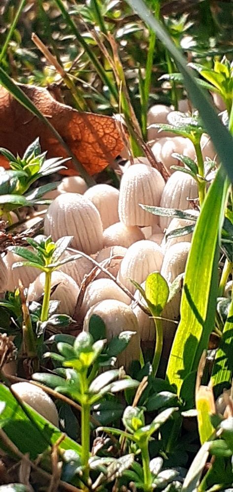 Photograph by Евгения Ульянова