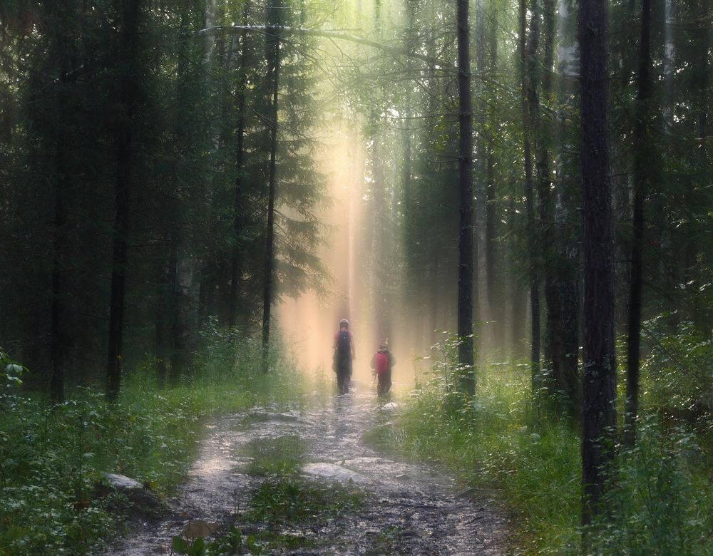 Двое в лесу