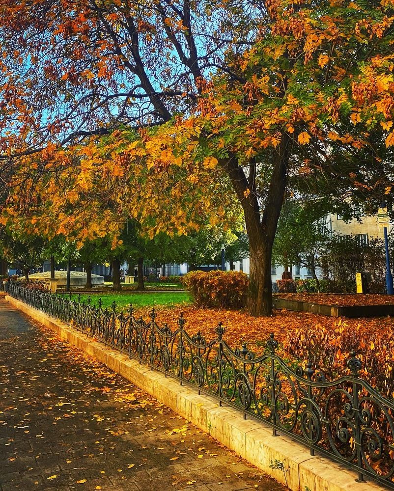 Photograph by Lasha Chkhaidze