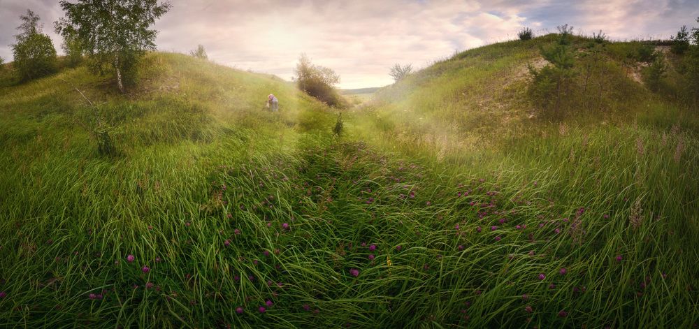 Время сбора трав