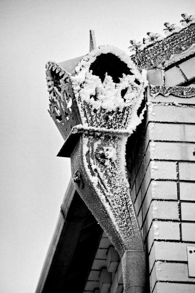 Photograph by Марина