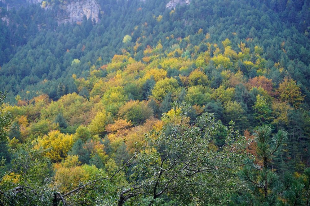 Enipeas, Olympus, Greece