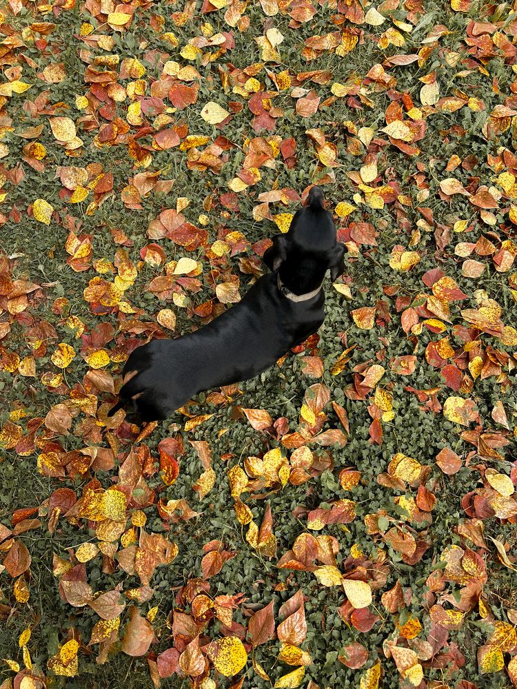 Photograph by Мария Козлова