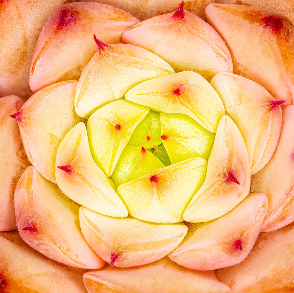 Photograph by Zhenhuan Zhou