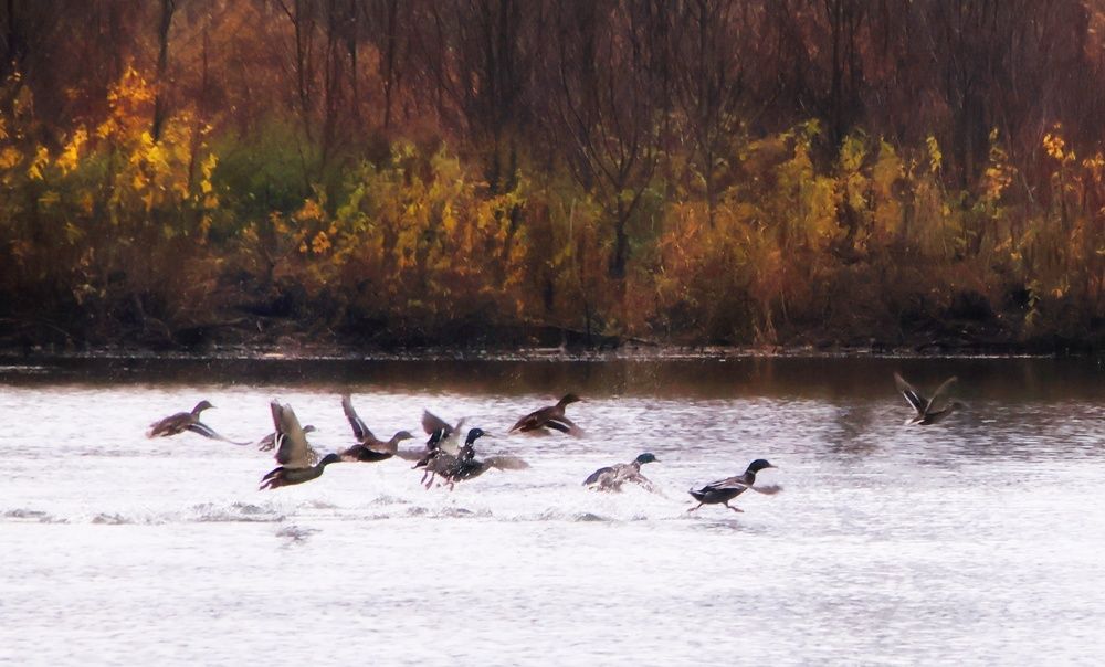 Photograph by Olga Asson