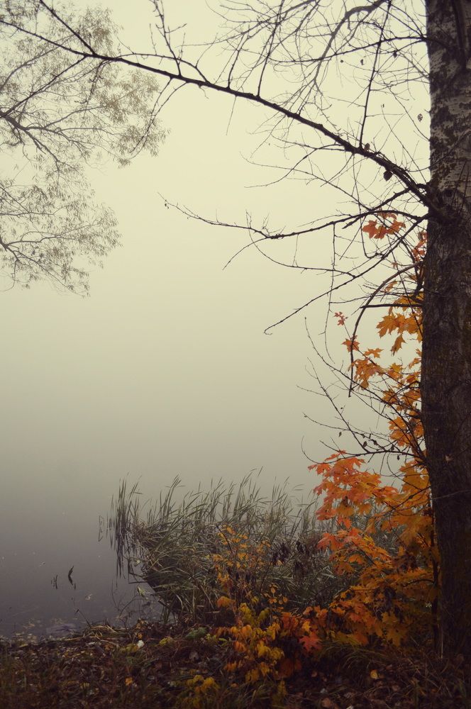 Photograph by Наталья Маслова