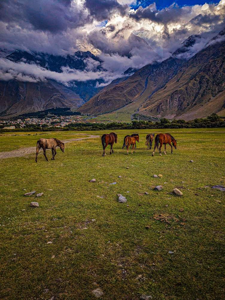 Photograph by Ламара Авалишвили