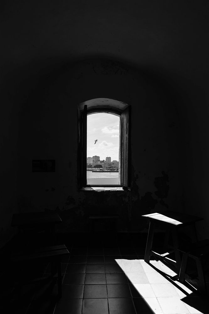 Photograph by Zhenhuan Zhou