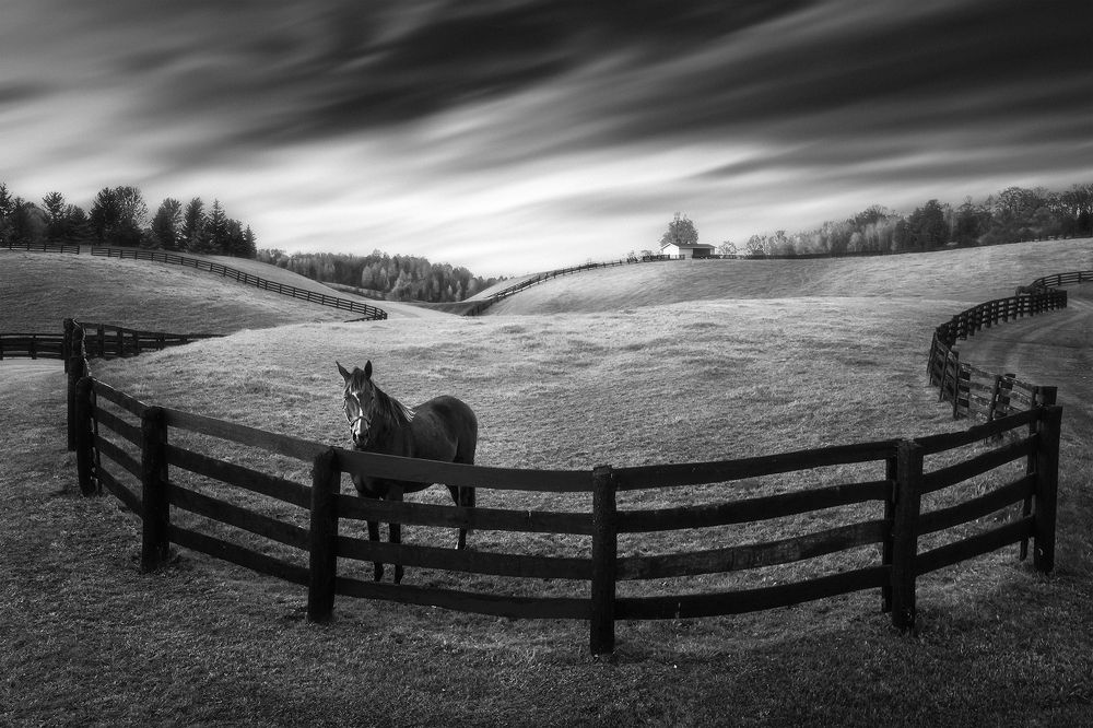 Photograph by Zhenhuan Zhou