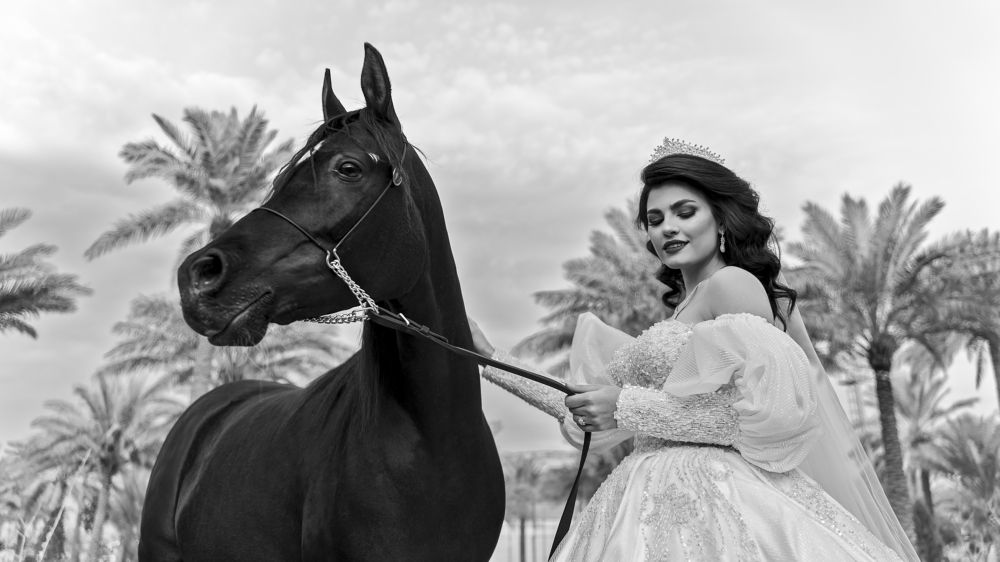 Фотография автора ameer alatar