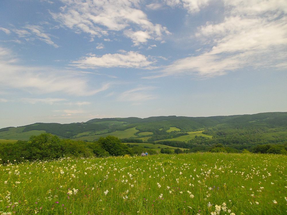 Фотография автора Ксения Смирнова