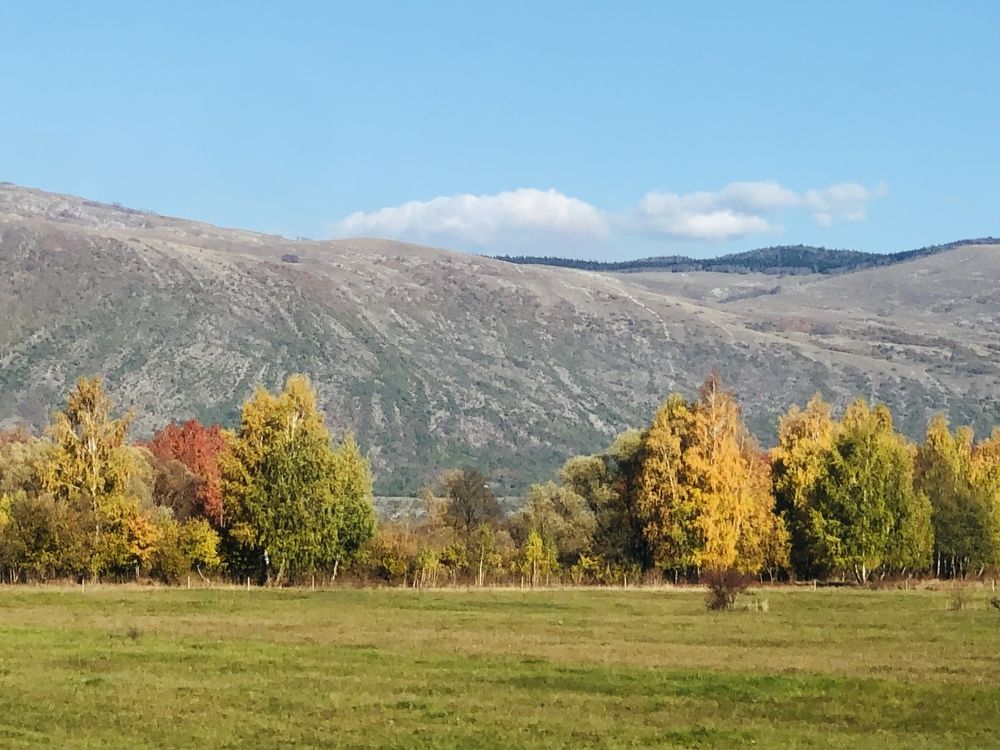 Photograph by Blazana Kristo