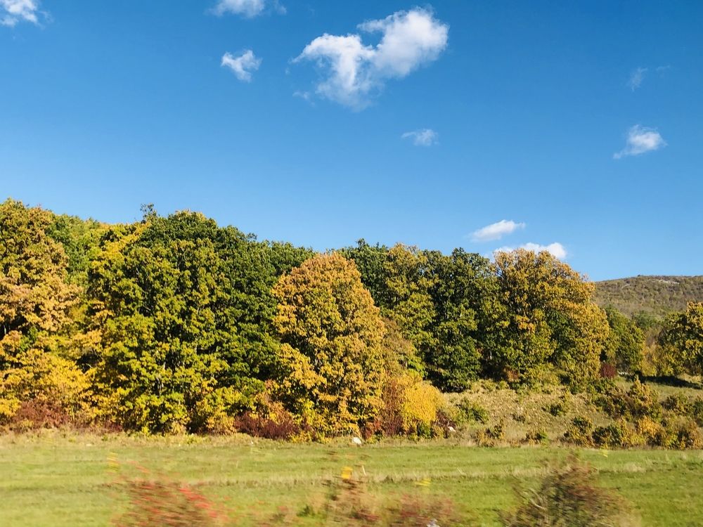 Photograph by Blazana Kristo