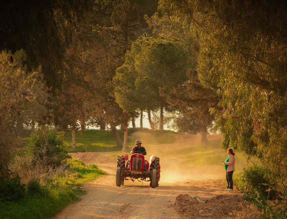 Photograph by Saman Kanzi