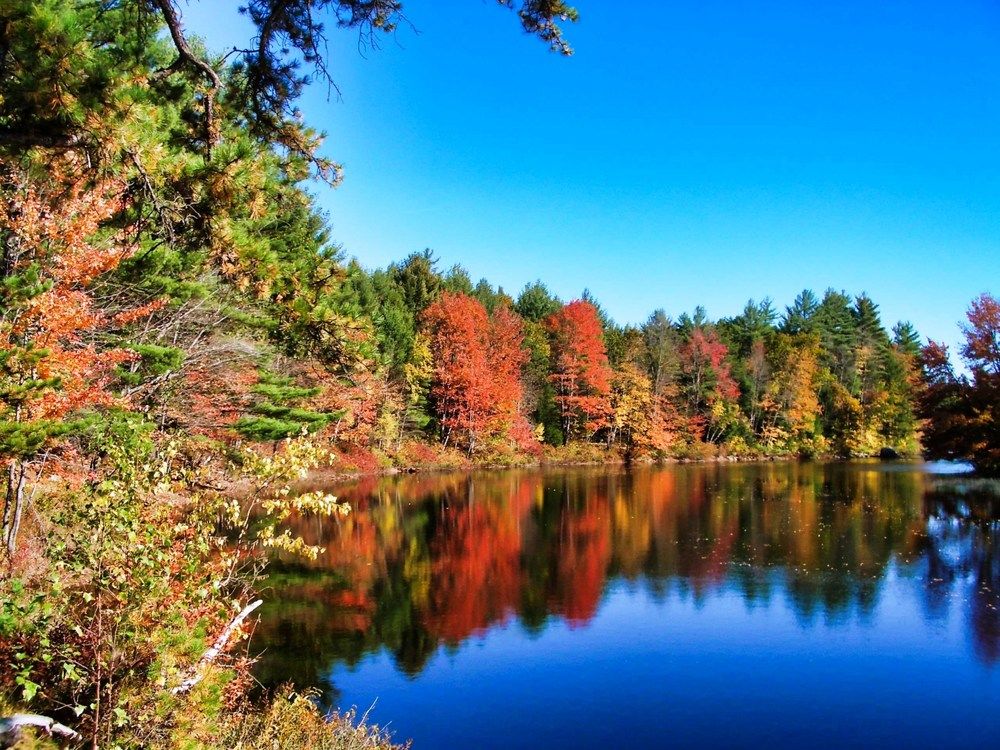 Photograph by Leo Tujak