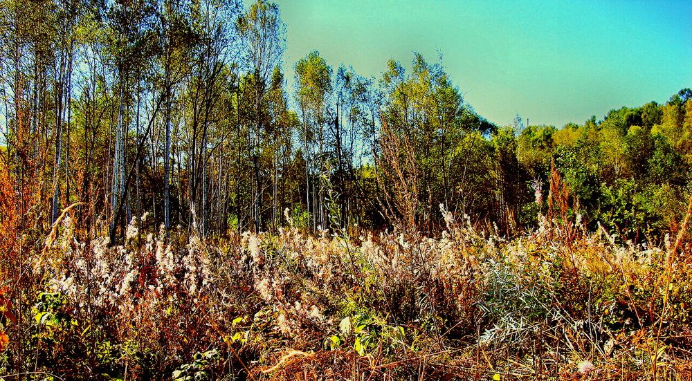 Фотография автора АЛЕКСАНДР ЦЫГЕЛЬНЮК