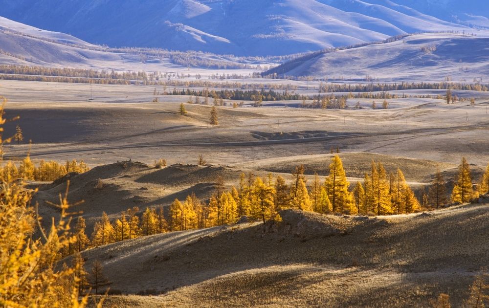 Photograph by Вадим Качанов