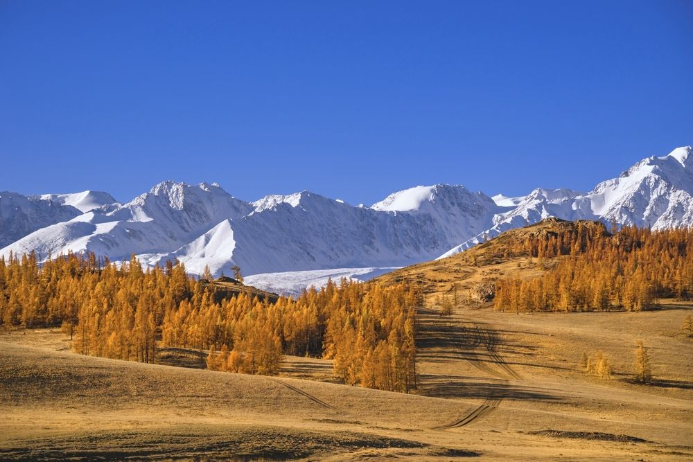 Photograph by Вадим Качанов