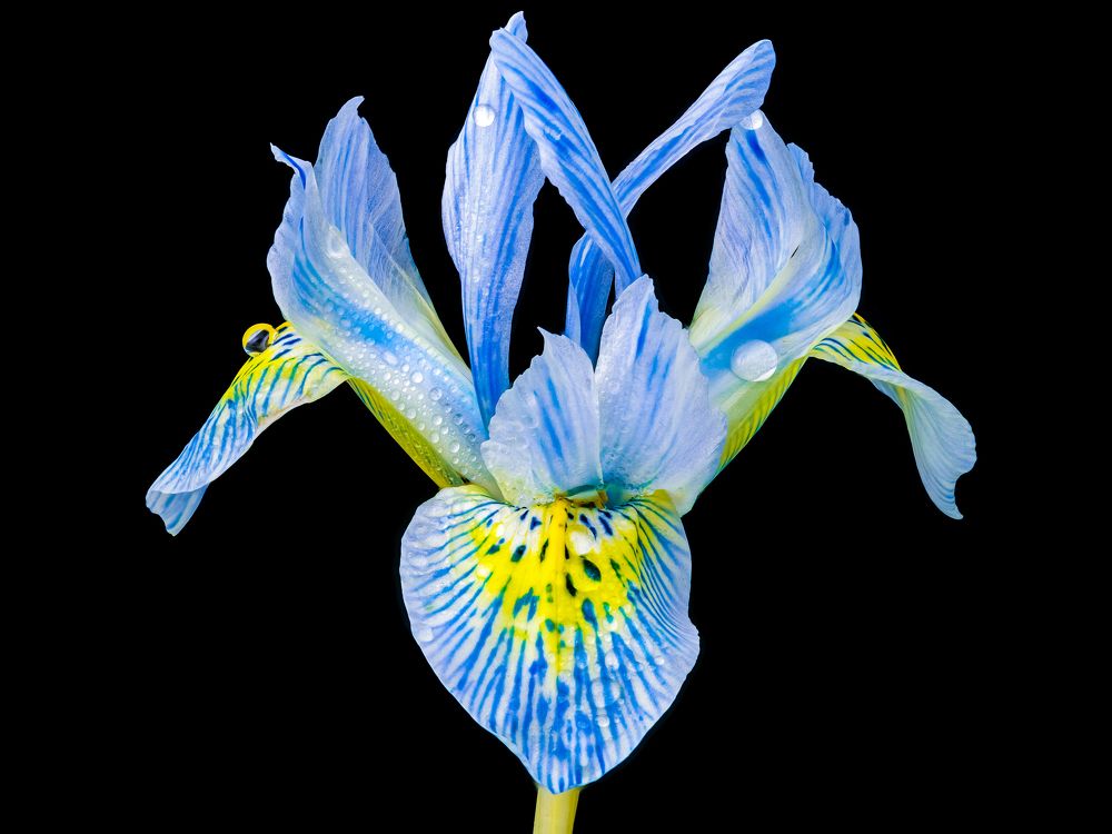 Photograph by Андрей Калинин