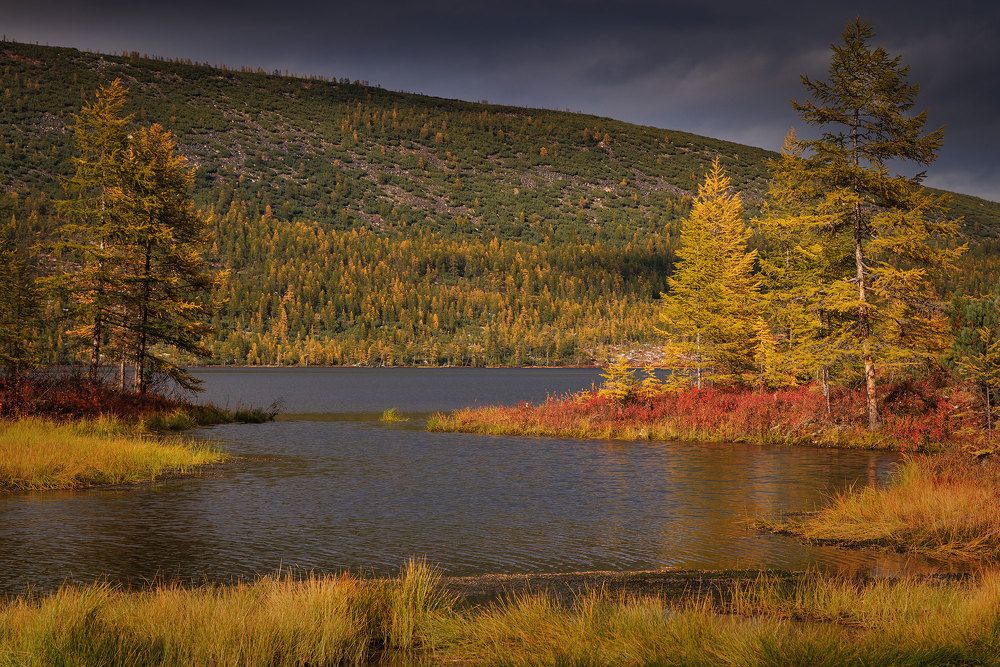 Photograph by Морозов Сергей