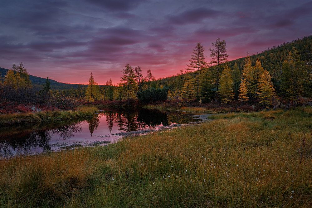 Photograph by Морозов Сергей