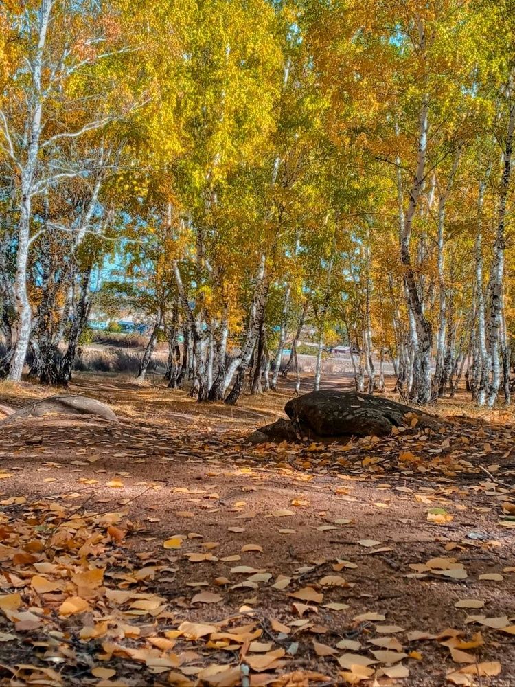 Photograph by Александра Королёва