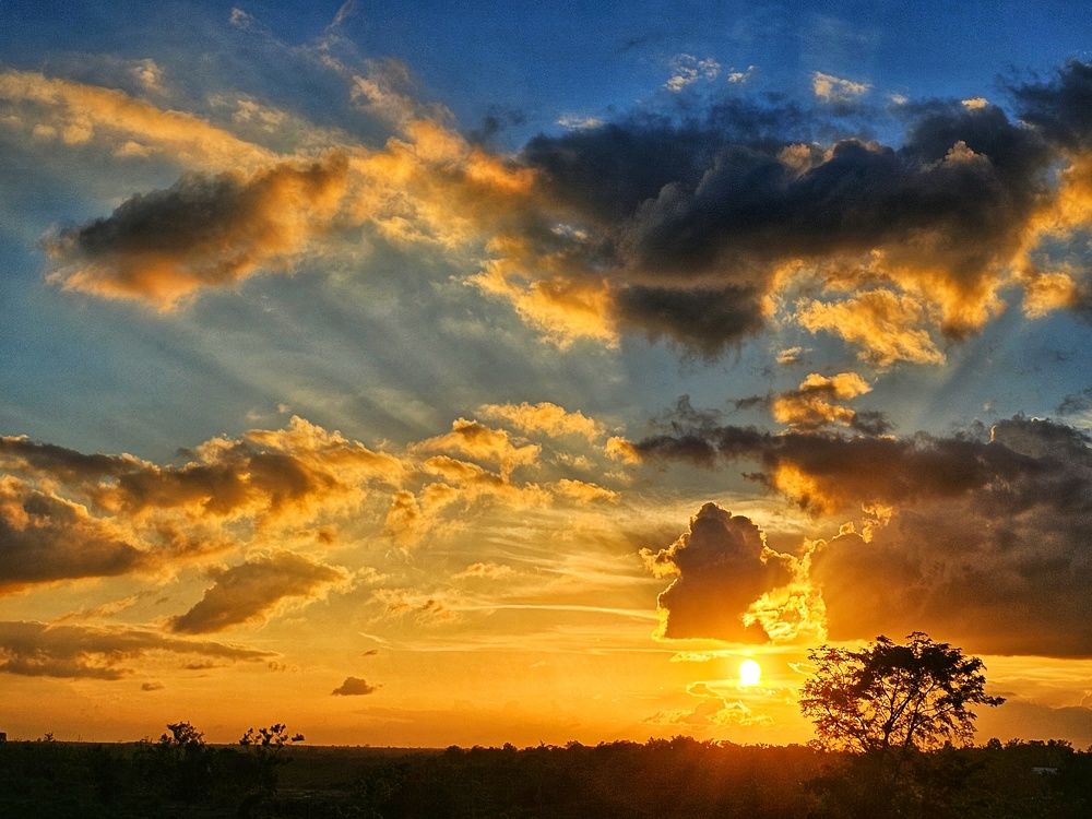 Photograph by SRIMANTA RAY