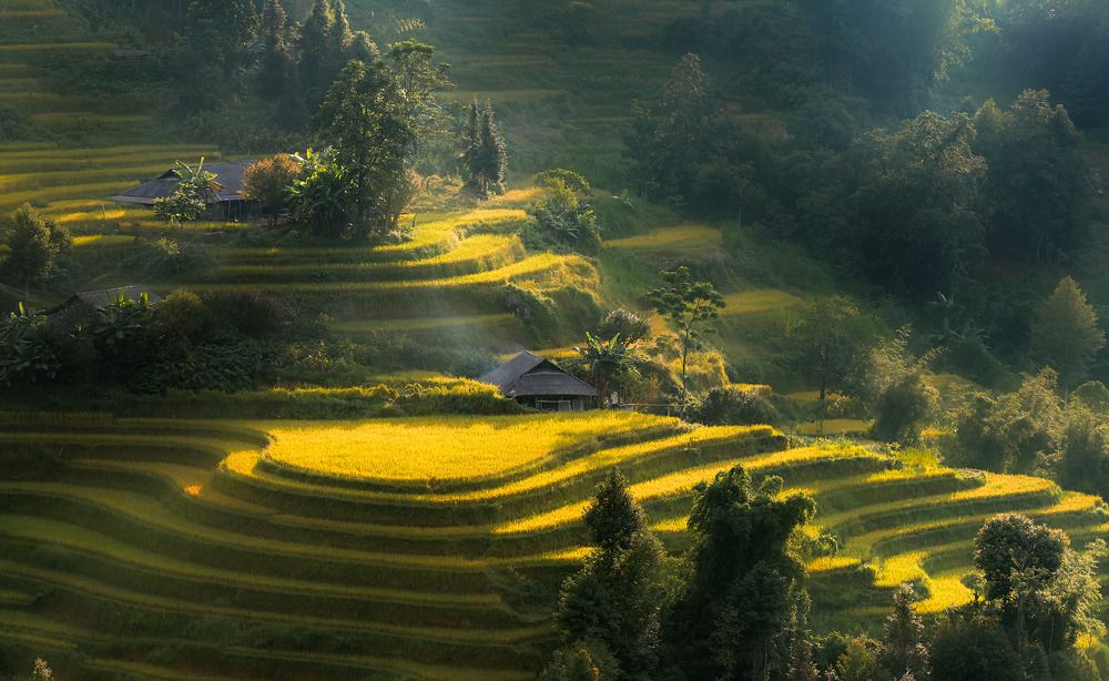 Photograph by Nguyen Trong Quyet