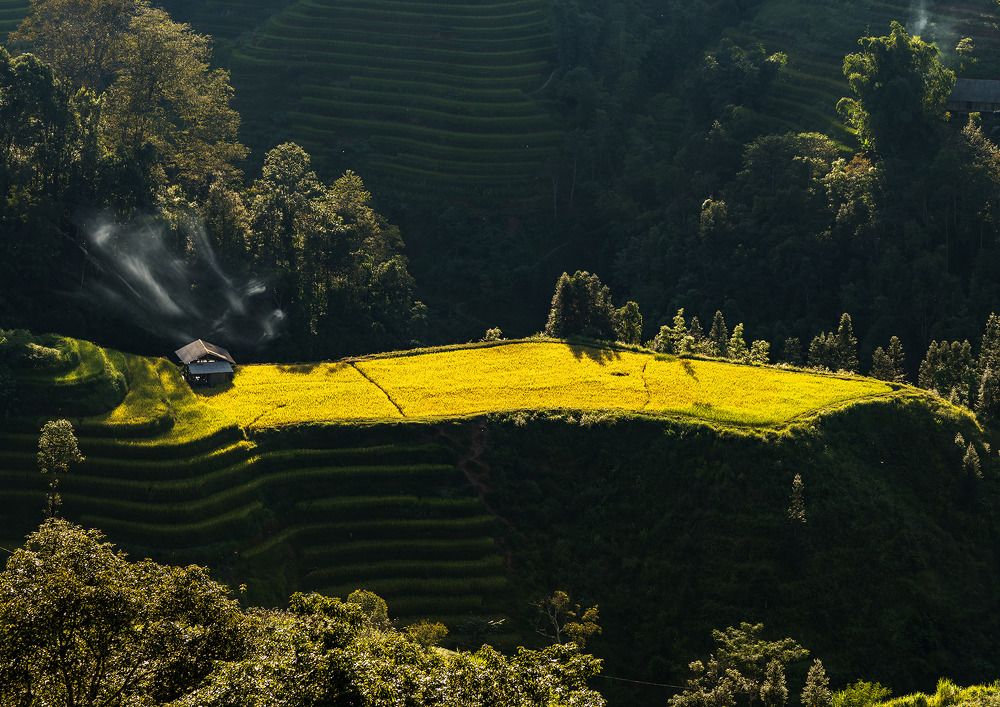 Photograph by Nguyen Trong Quyet