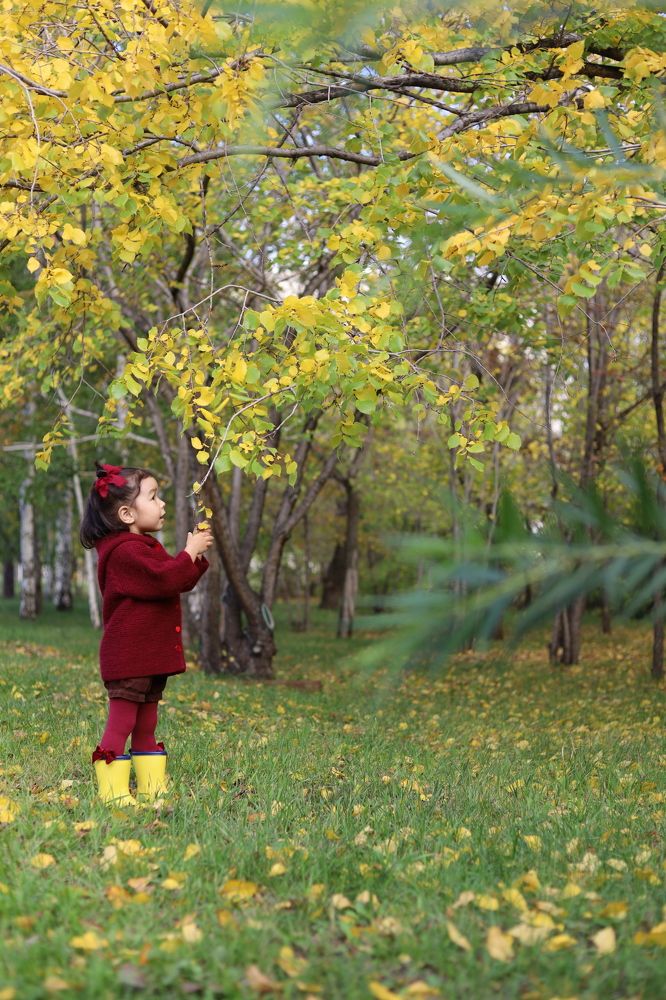 Photograph by Ольга Мандрыкина