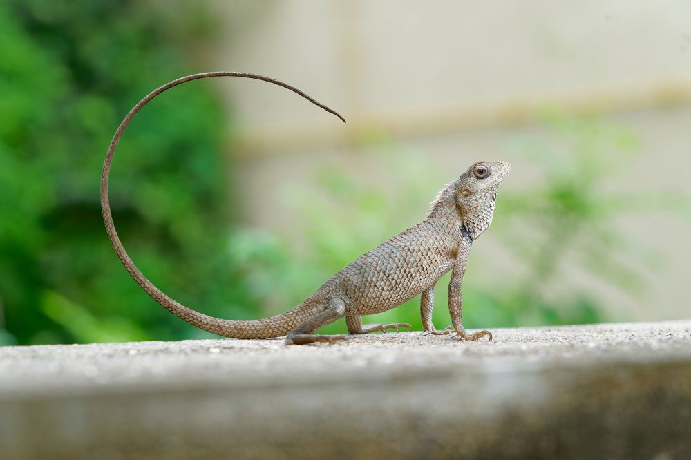 Photograph by vatsal mandaviya