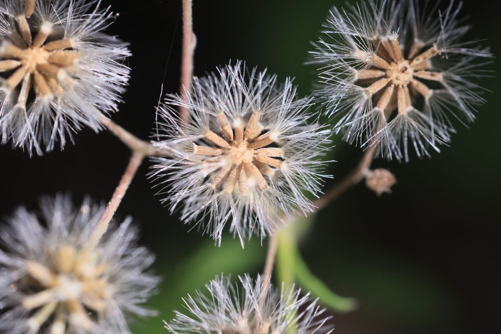 Photograph by vatsal mandaviya