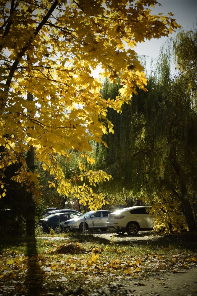 Photograph by Ольга Рыкова