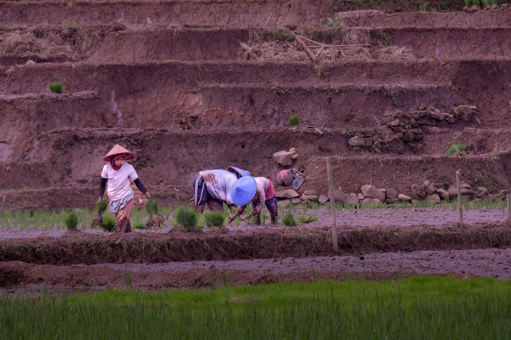 Photograph by Yafet Prayogo