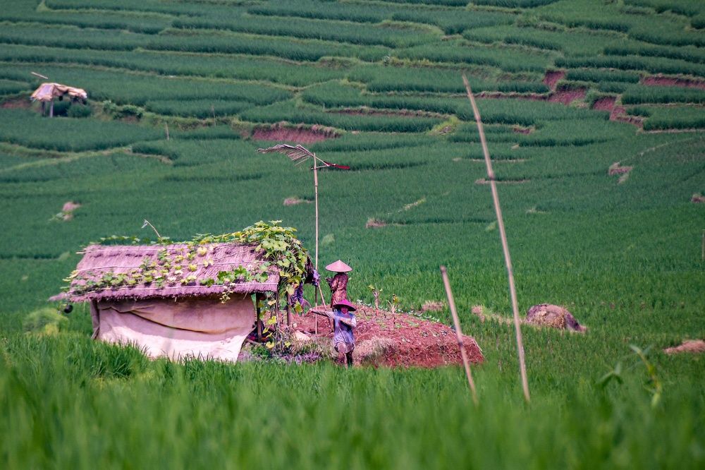 Photograph by Yafet Prayogo