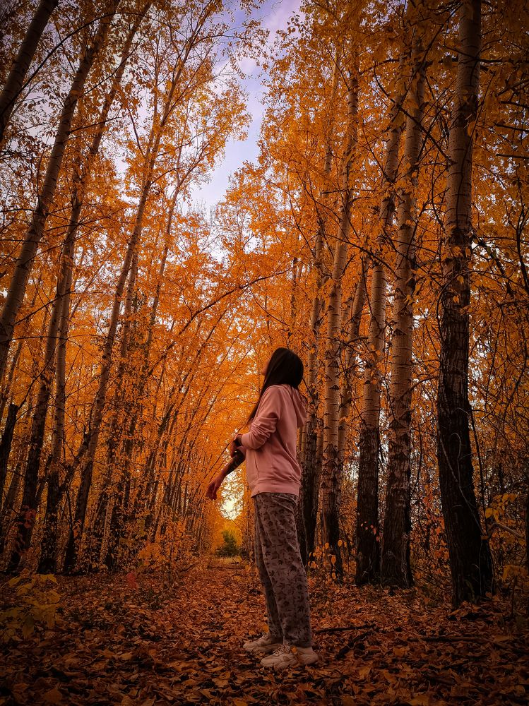 Фотография автора Алёна Алёна