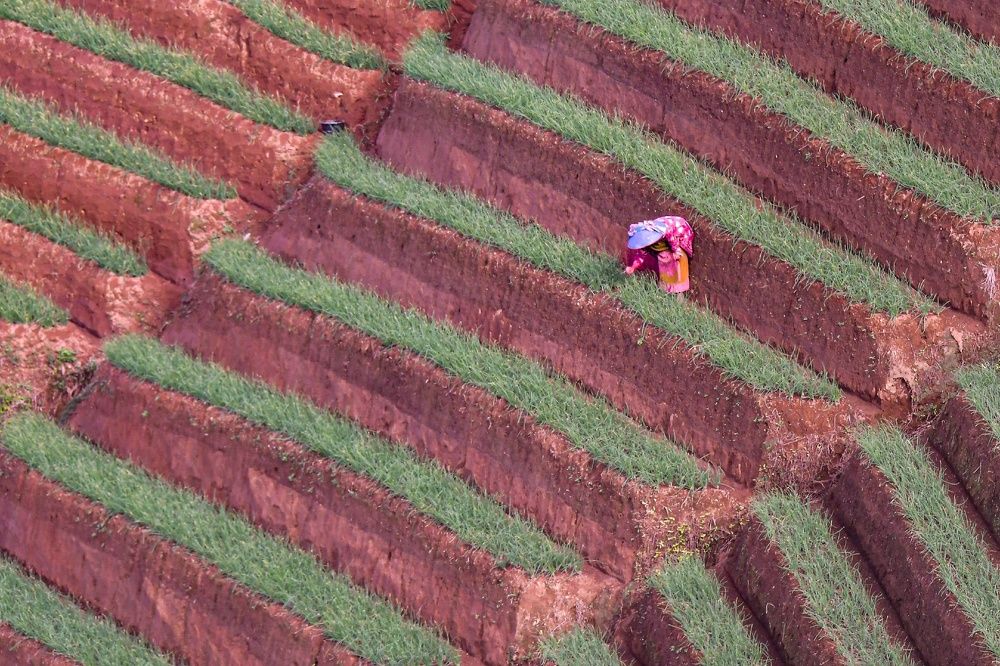 Photograph by Yafet Prayogo