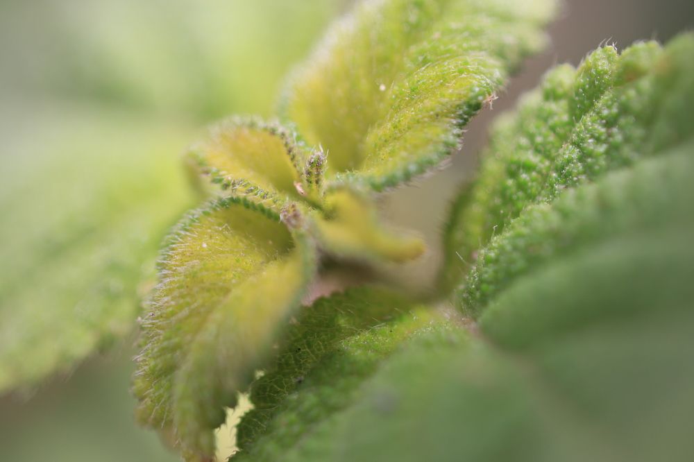 Photograph by vatsal mandaviya