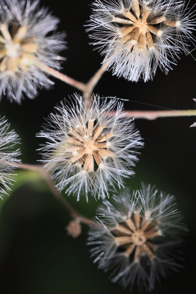 Photograph by vatsal mandaviya